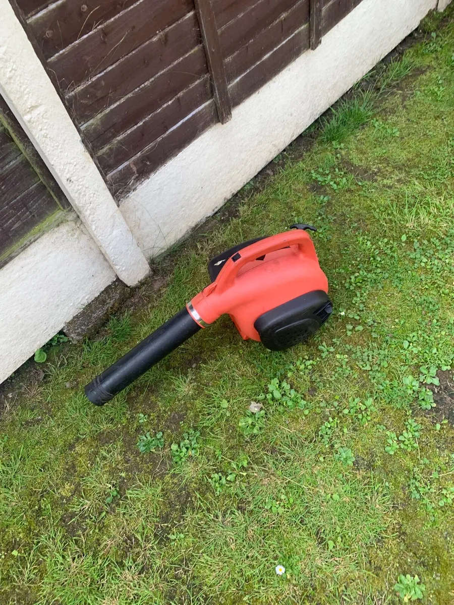 Blower - Image 1