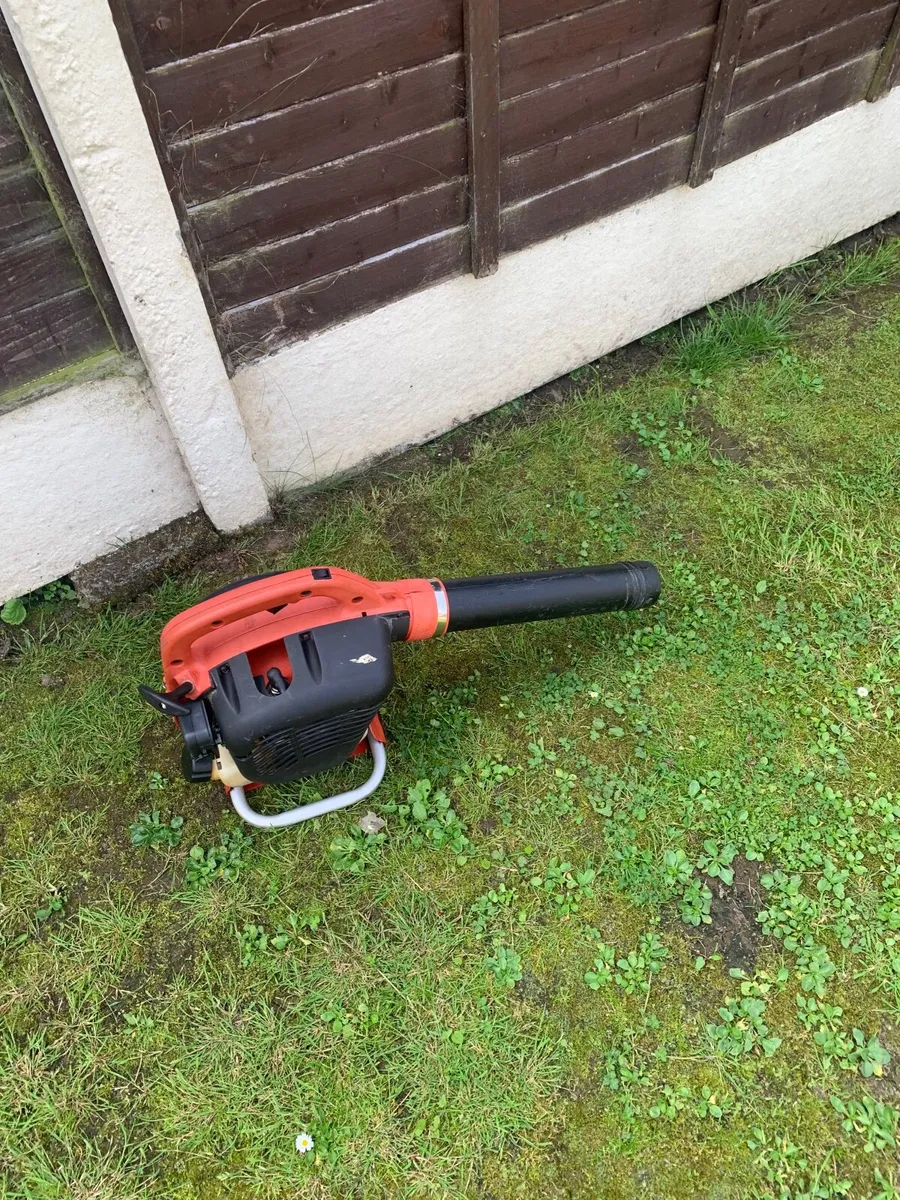 Blower - Image 2