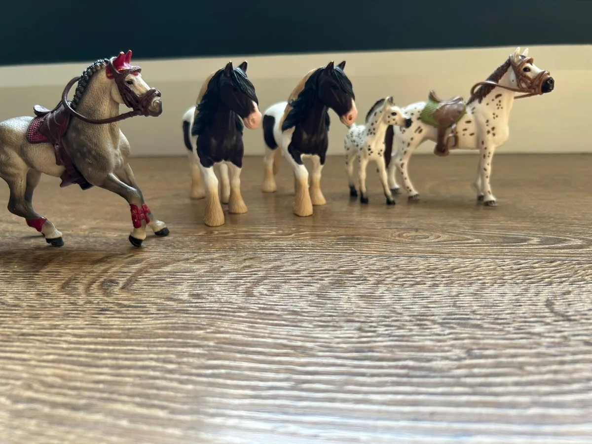 Complete schleich horse set with accessories - Image 2