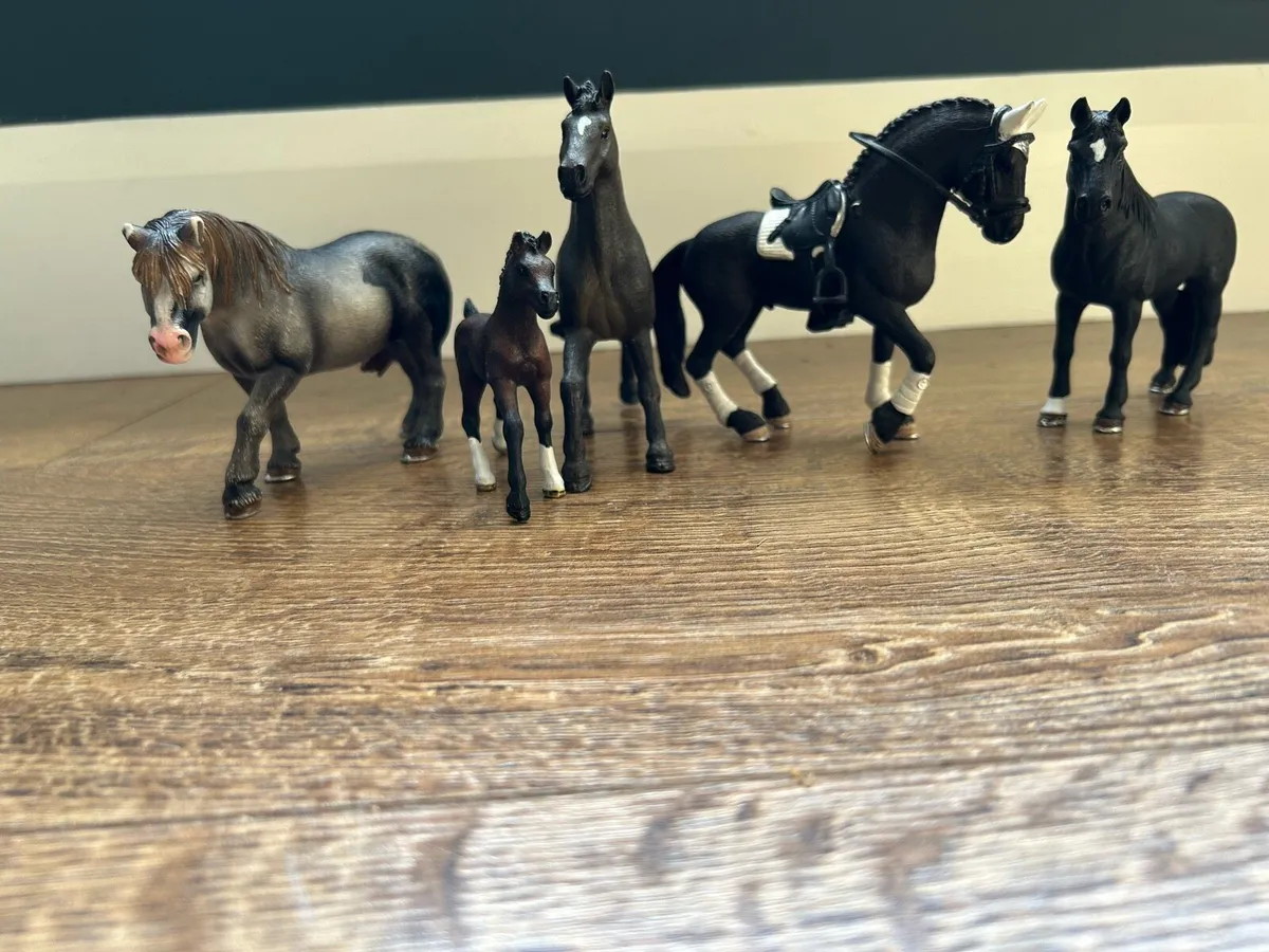 Complete schleich horse set with accessories - Image 3