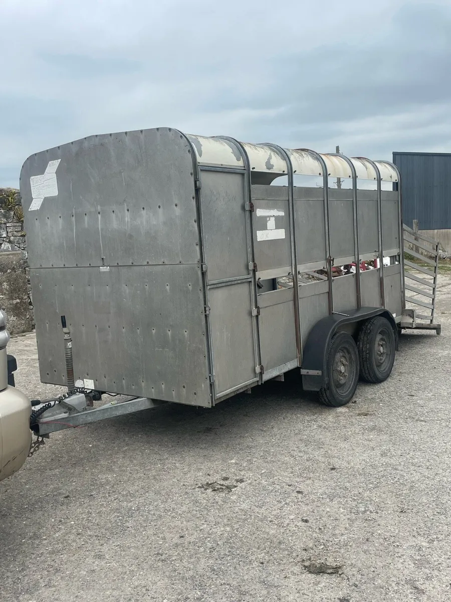 Ifor William cattle trailer - Image 1