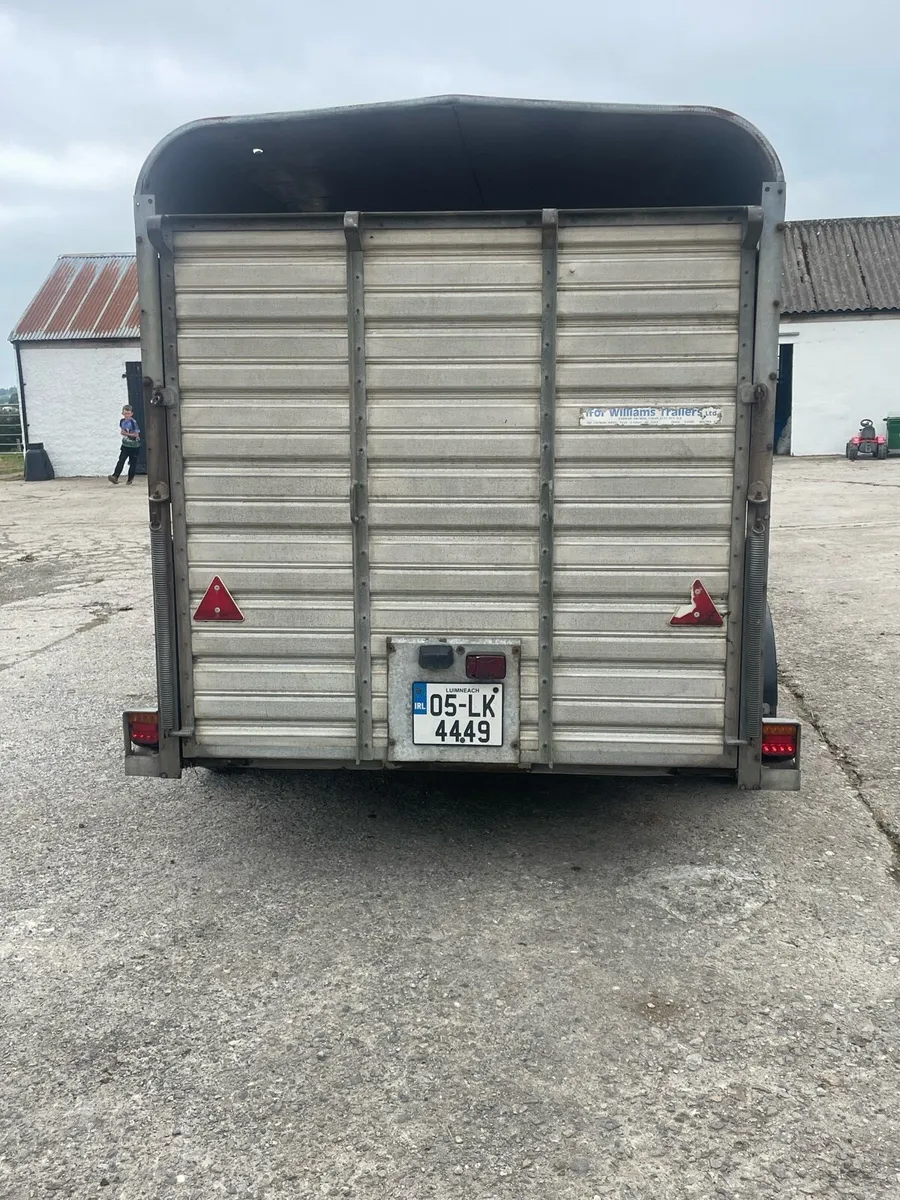 Ifor William cattle trailer - Image 2