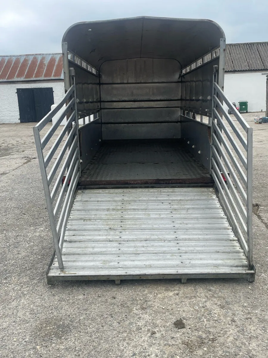 Ifor William cattle trailer - Image 3