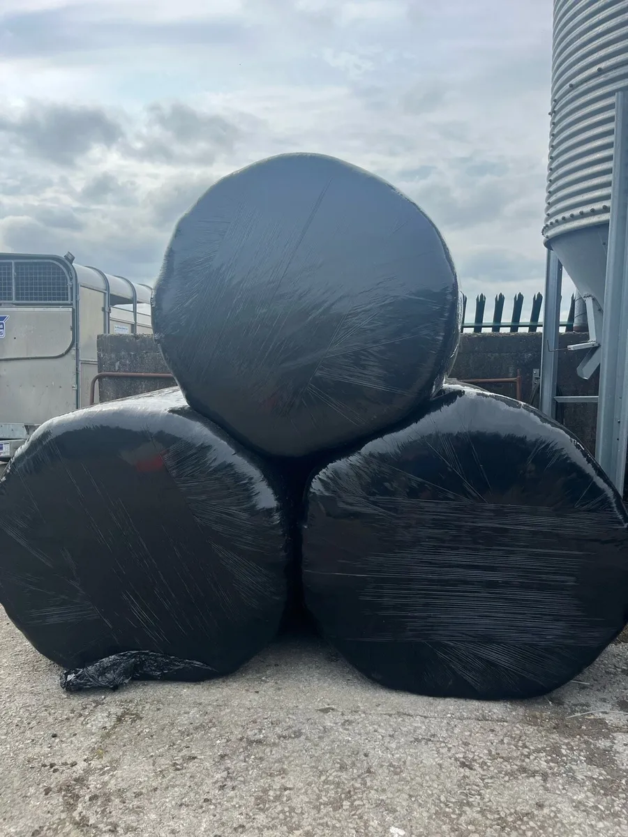 Organic bales of Haylage - Image 1