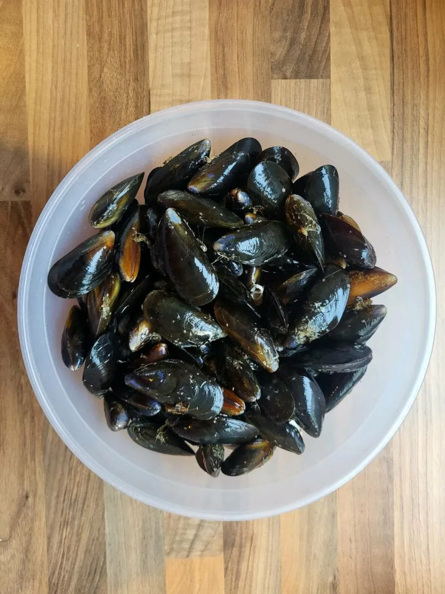Mussels - Image 2