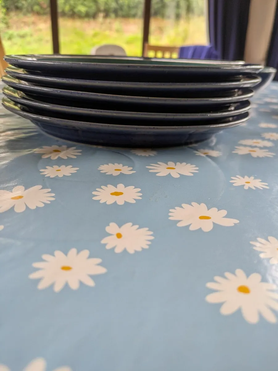 Table ware Denby Harlequin - Image 4