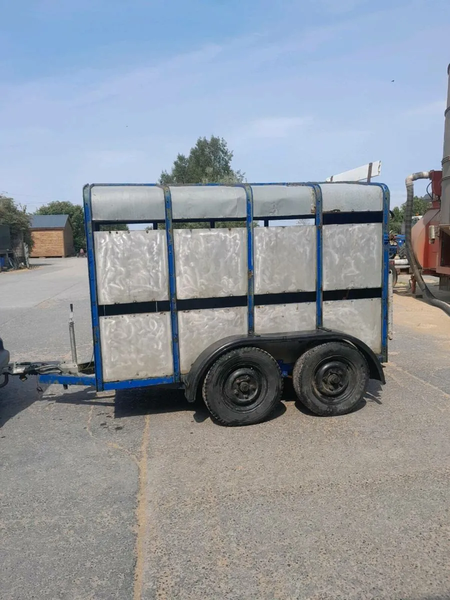 Cattle trailer - Image 3