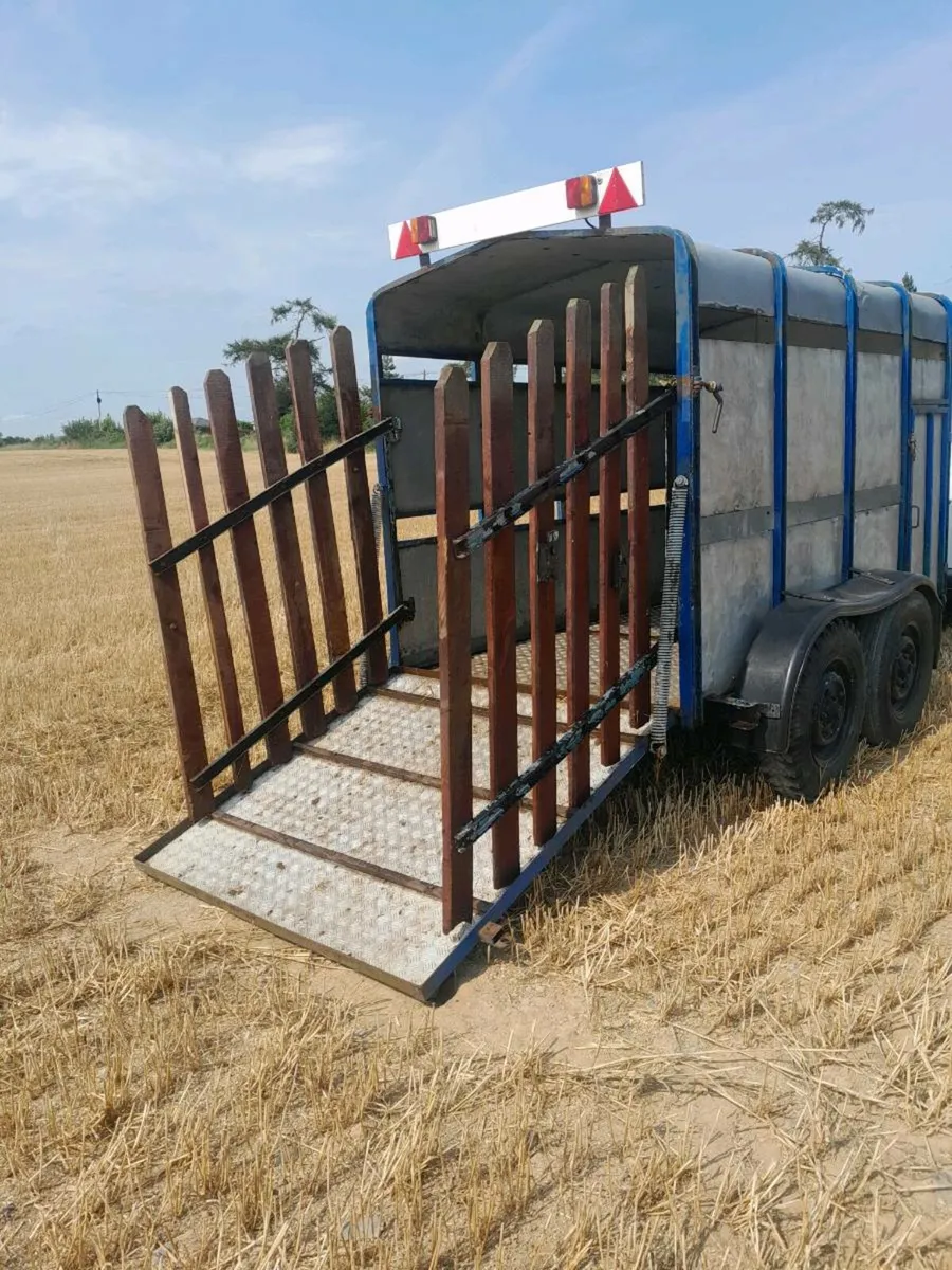 Cattle trailer - Image 4