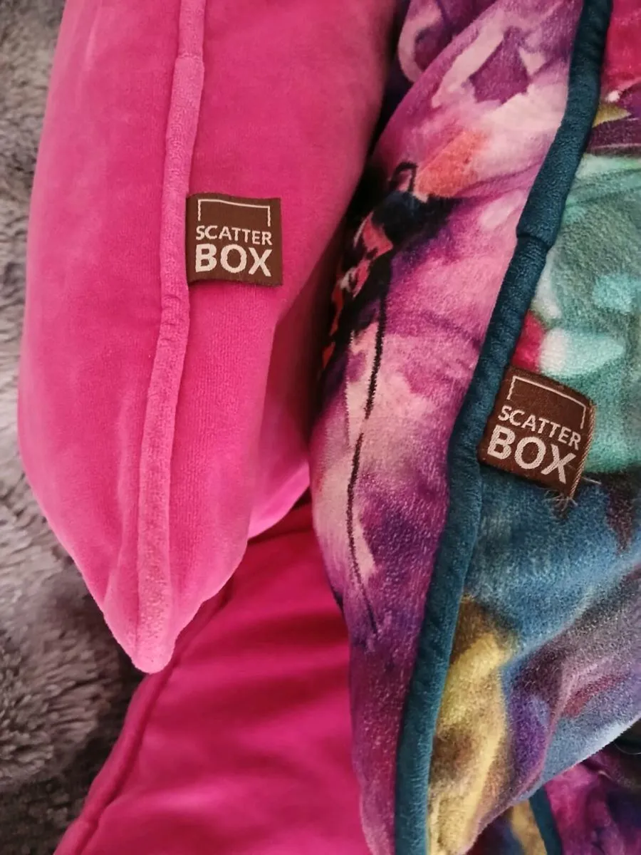 cushions (scatter box) - Image 1