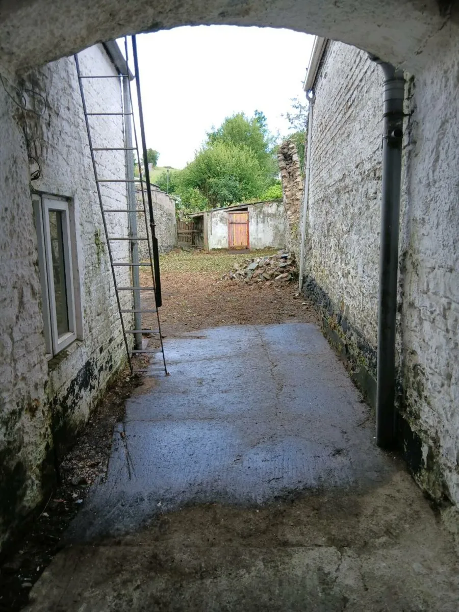 Garden maintenance services - Image 3