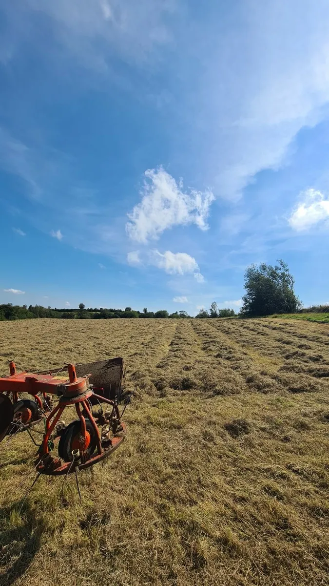Organic hay