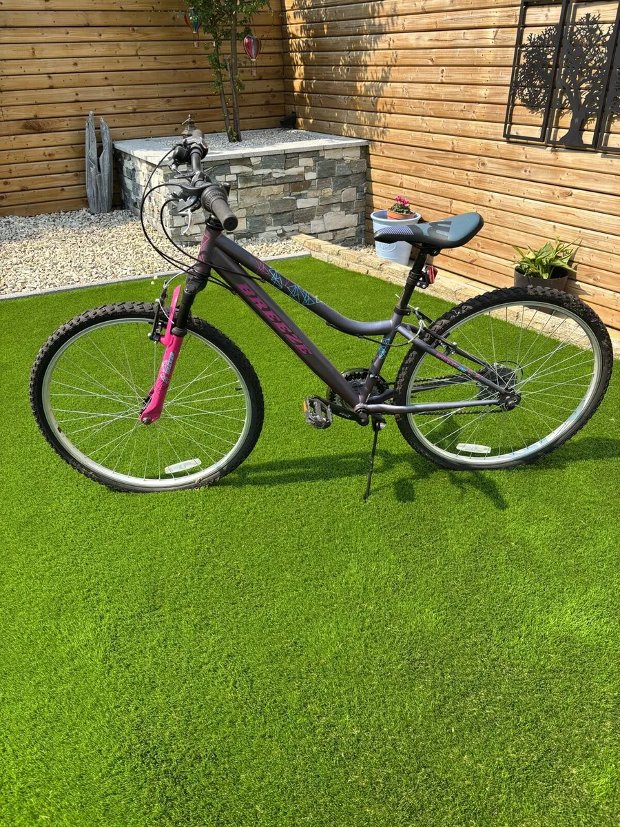 Ladies bike - Image 1