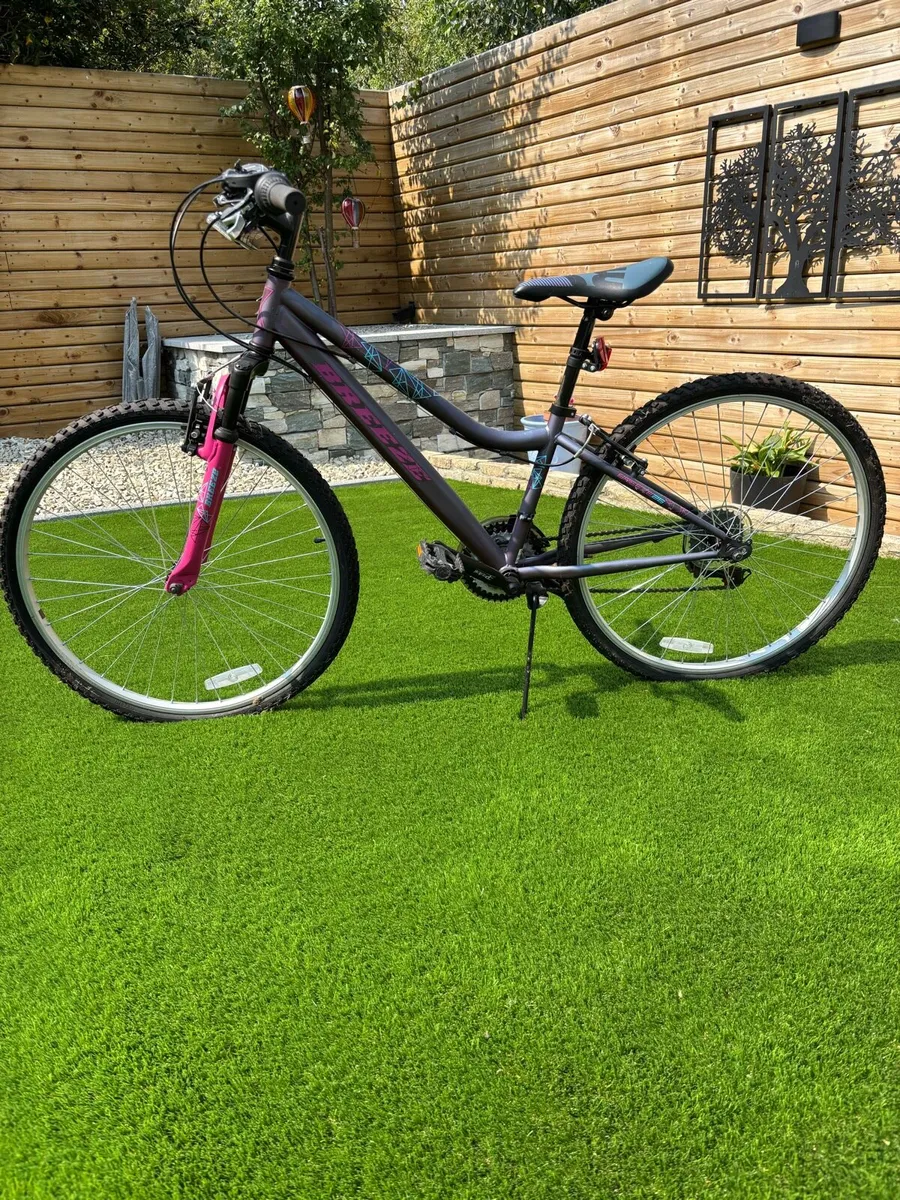 Ladies bike - Image 3