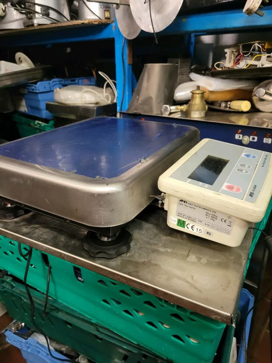 Scale Platform Scale A&D Ins. Max 60kg - Image 2