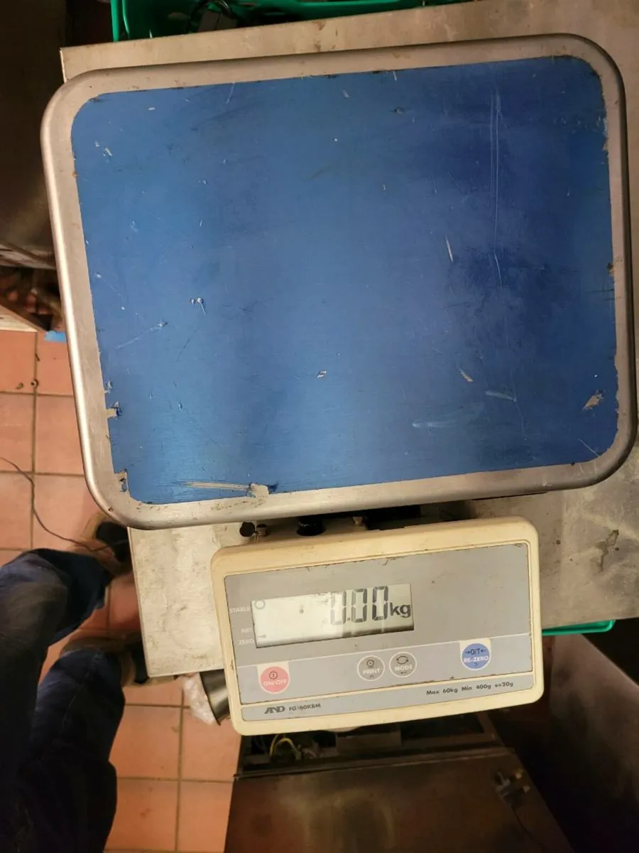 Scale Platform Scale A&D Ins. Max 60kg - Image 3