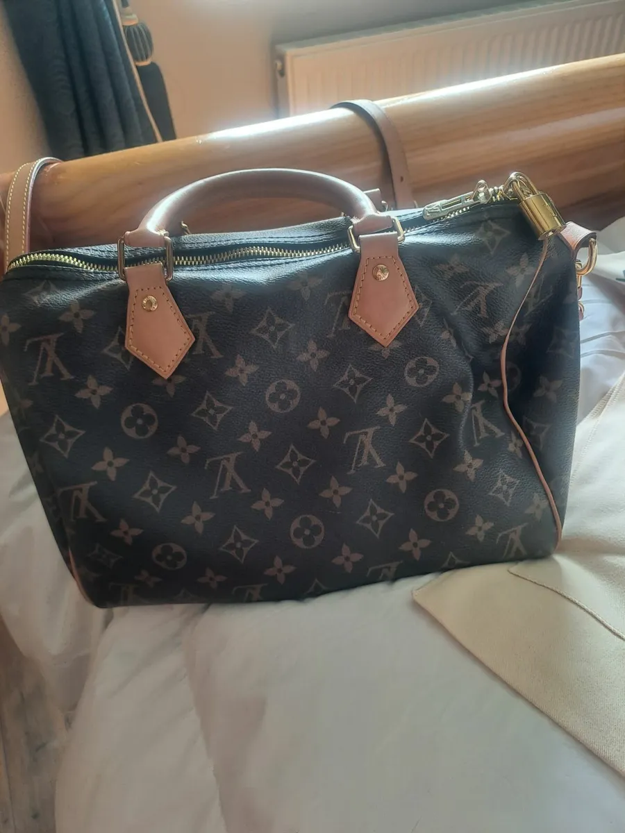 Louis vuitton handbag - Image 1
