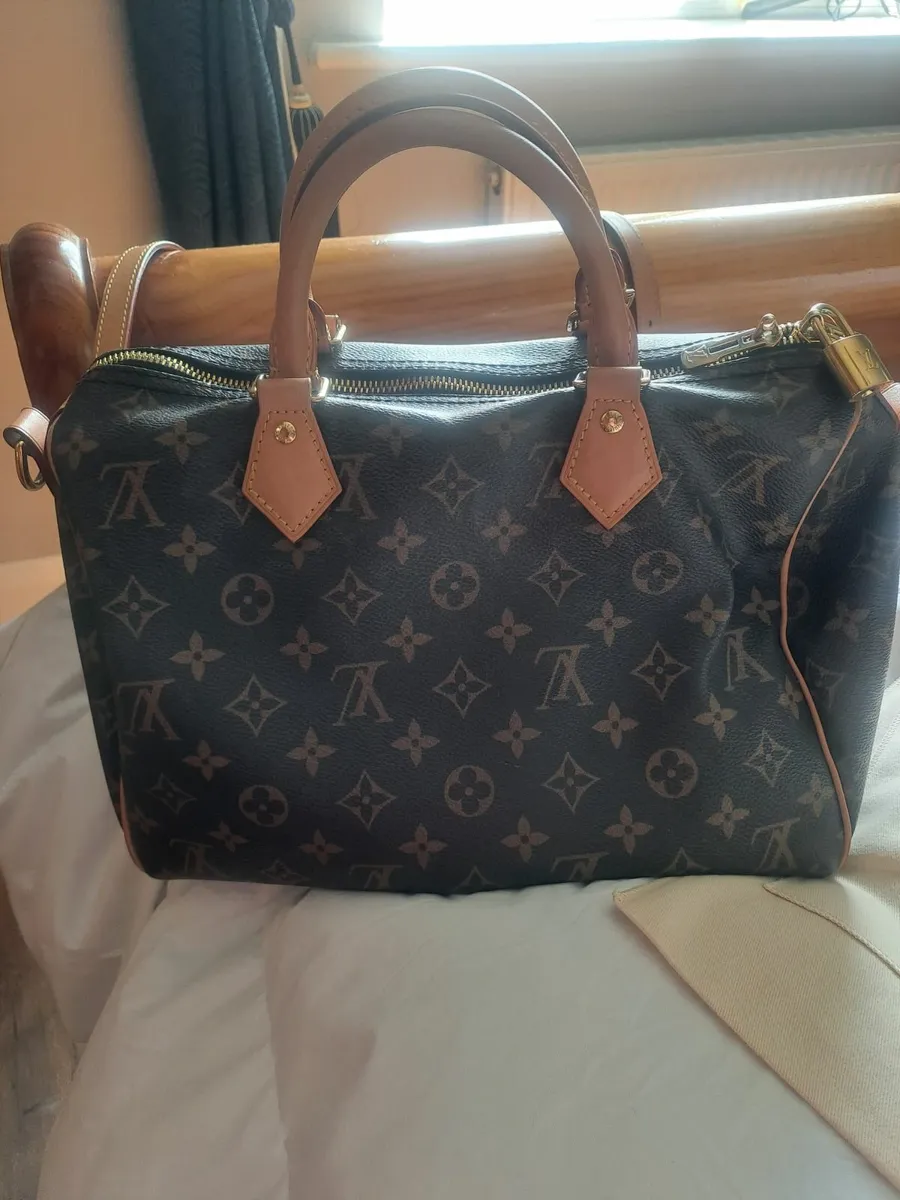 Louis vuitton handbag - Image 2