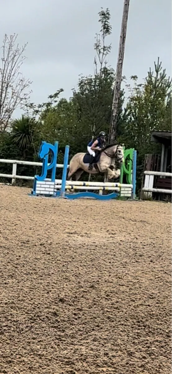 Freelance schooling available - Image 2