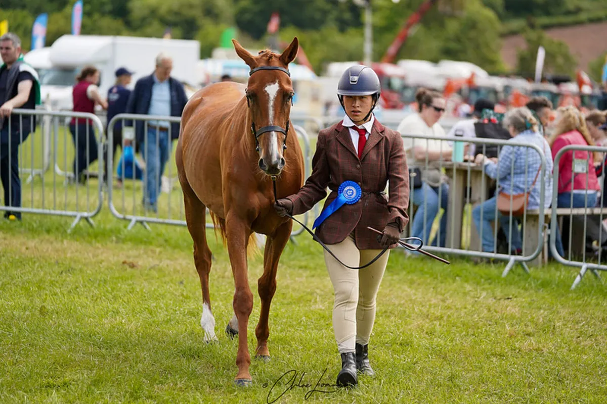 Freelance schooling available - Image 1