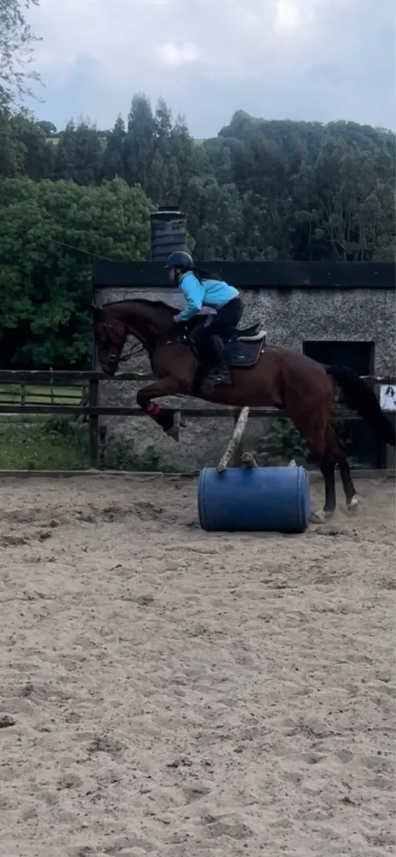 Freelance schooling available - Image 4