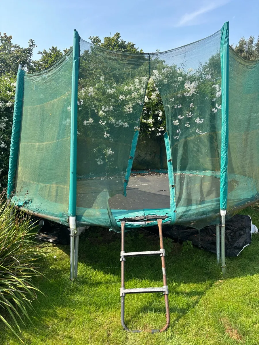 Free Trampoline - Image 1
