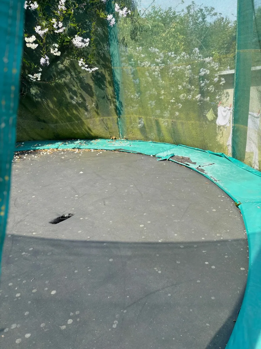 Free Trampoline - Image 2