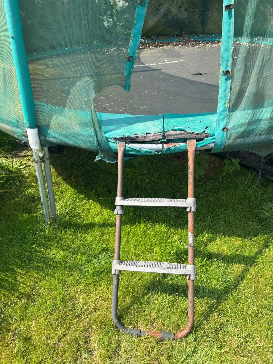 Free Trampoline - Image 3
