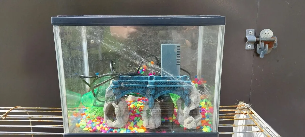 Fish Tank - Image 2