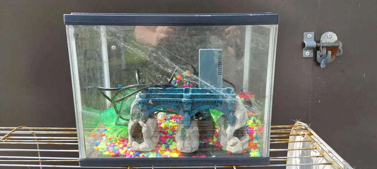 Fish Tank - Image 3