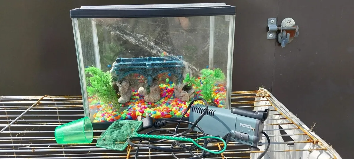 Fish Tank - Image 1