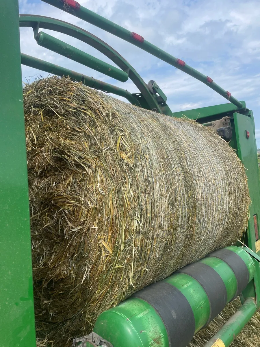 Feeding straw with grass with saved - Image 3