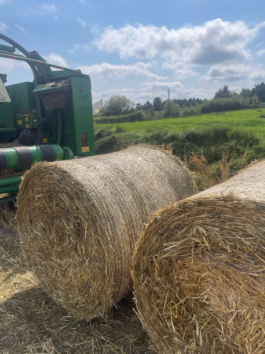 Feeding straw with grass with saved - Image 2