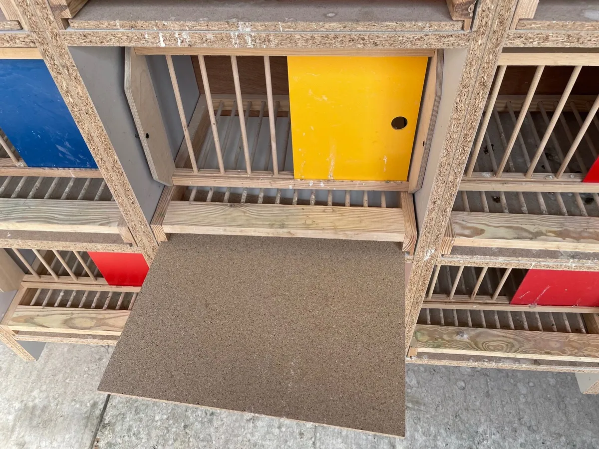 24 widowhood pigeon boxes - Image 3