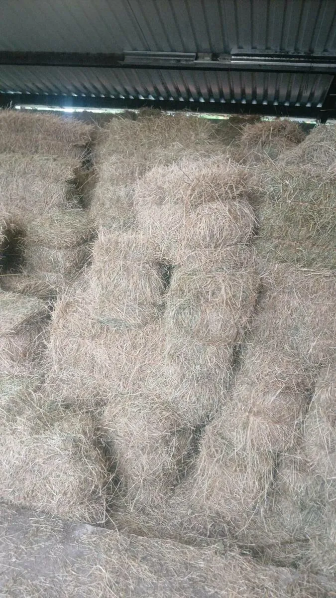 SQUARE Bales of hay - Image 1