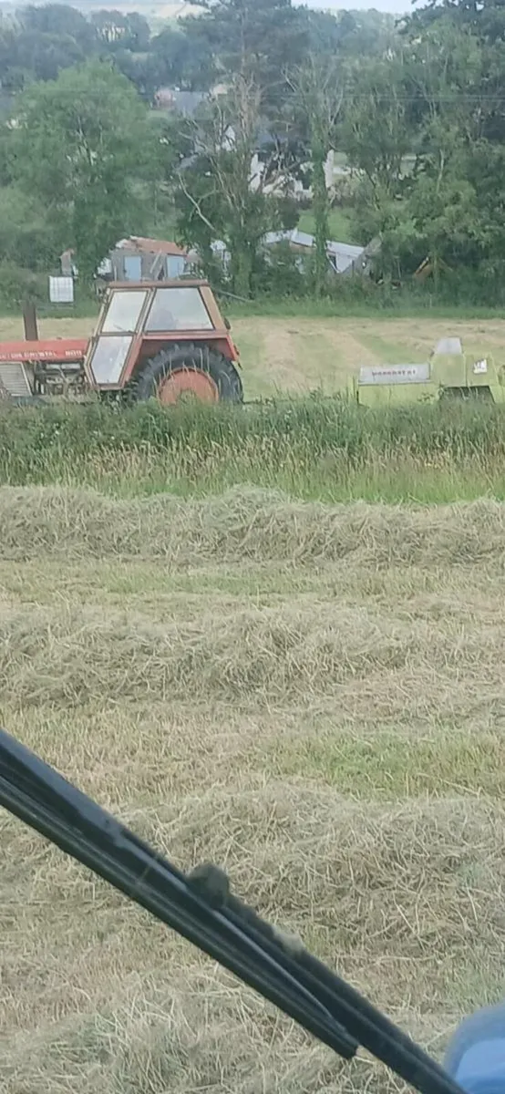 SQUARE Bales of hay - Image 2