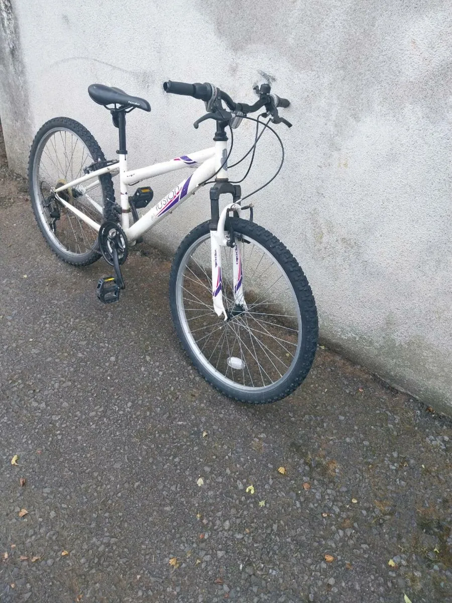 Women's mountain bike - Image 2