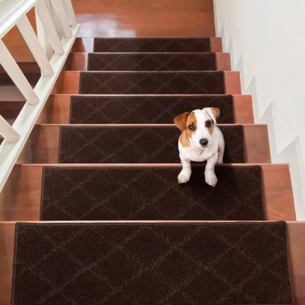 Stair Treads, Stairs Carpet Non Slip 9" x 28", Ind