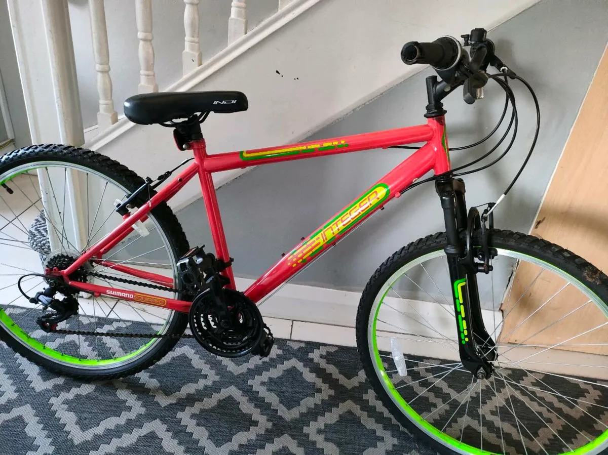 Teenagers mountain bike