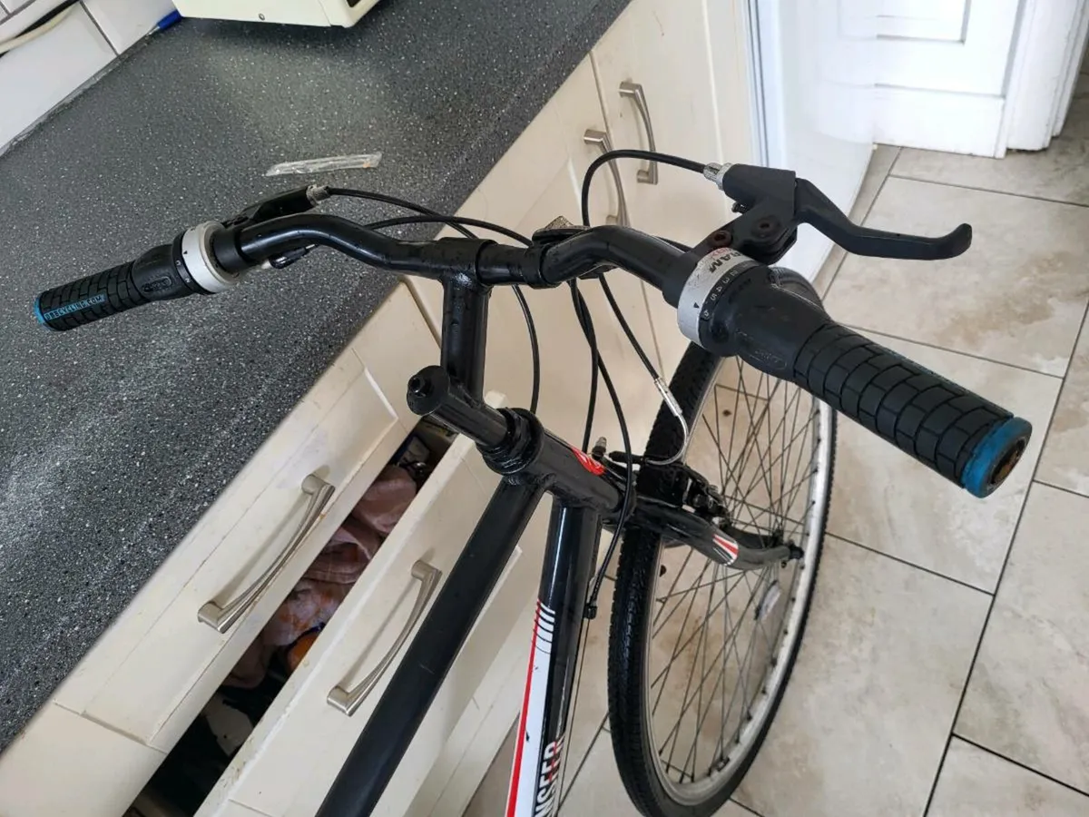 Bike - Image 2