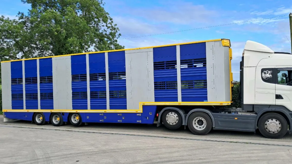 🔥 2018 irma livestock trailer 🔥 - Image 2