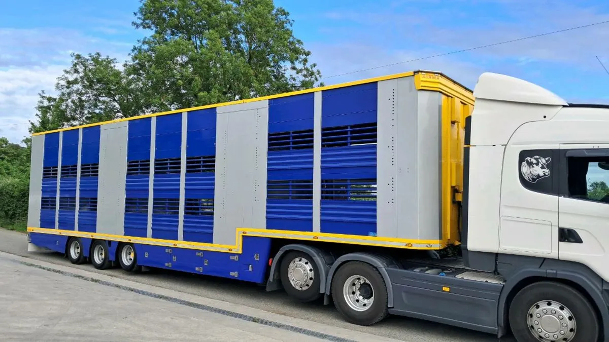 🔥 2018 irma livestock trailer 🔥 - Image 3