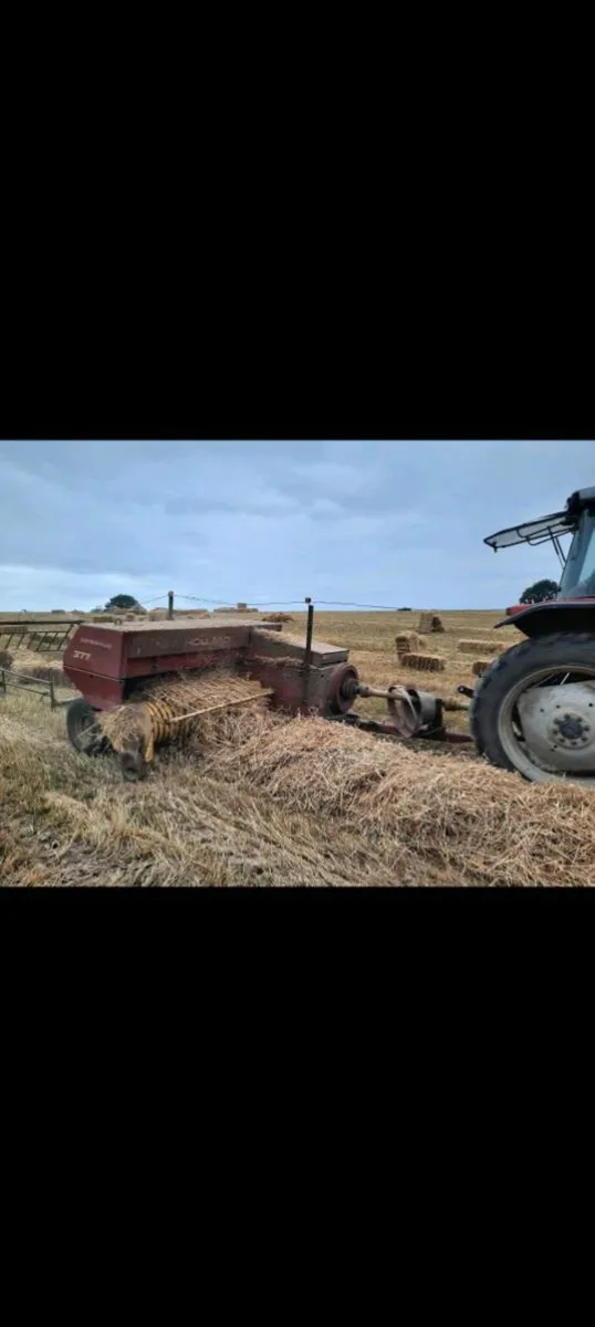 Square Bales Barley Straw