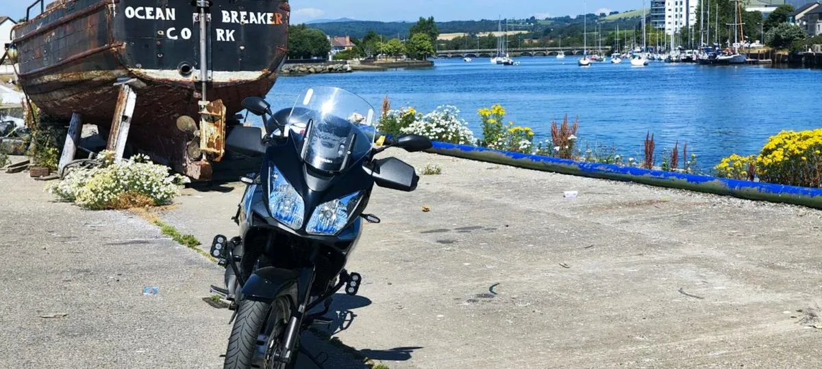 2009 Suzuki vstrom 650 - Image 2