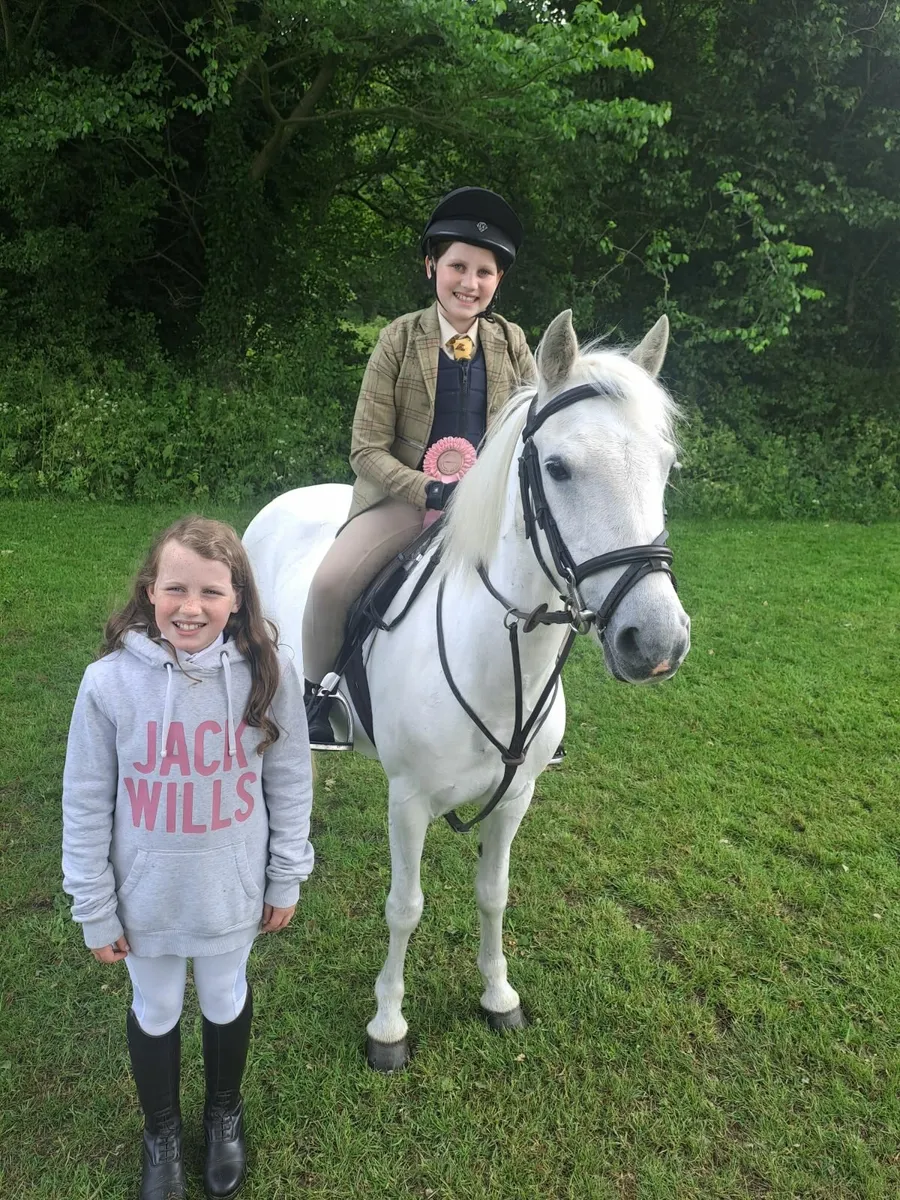 128cm  Perfect pony - Image 1