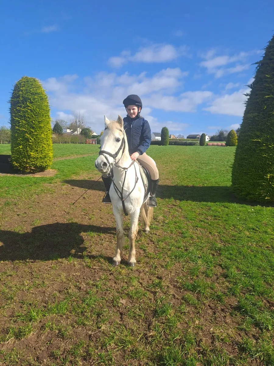 128cm  Perfect pony - Image 3