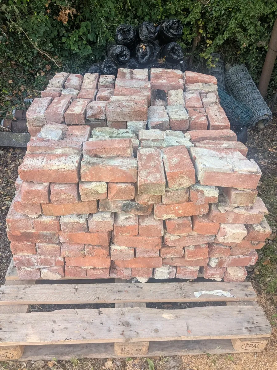 Red Bricks - Image 1