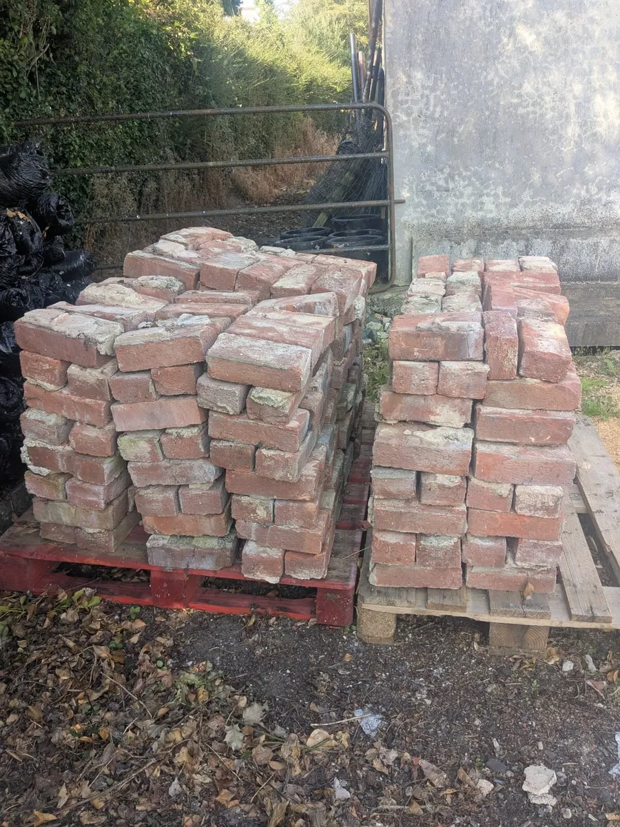 Red Bricks - Image 2
