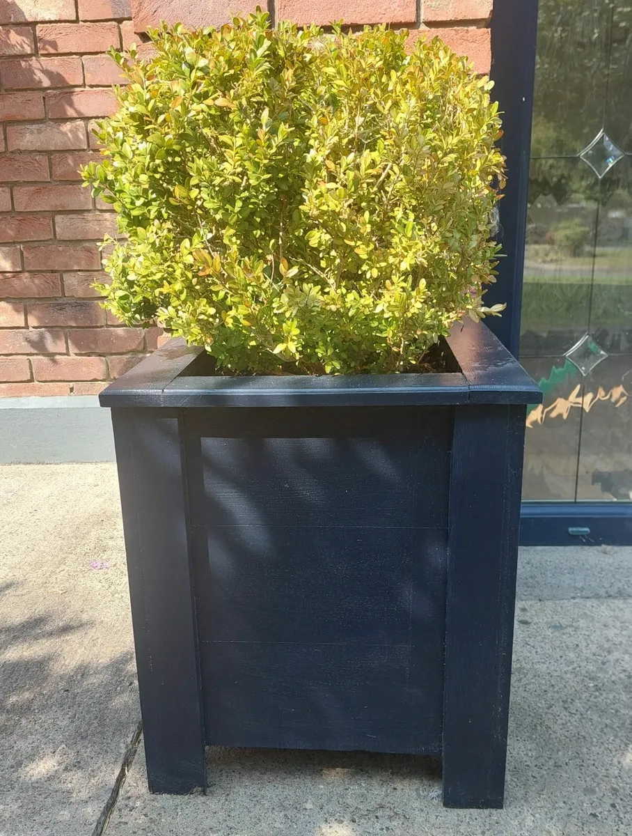 Autumn-Ready Planter Boxes — Handmade in Meath - Image 4