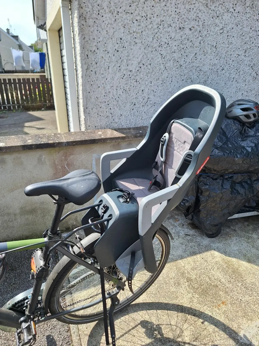 Guppy Maxi Child Seat - Image 1