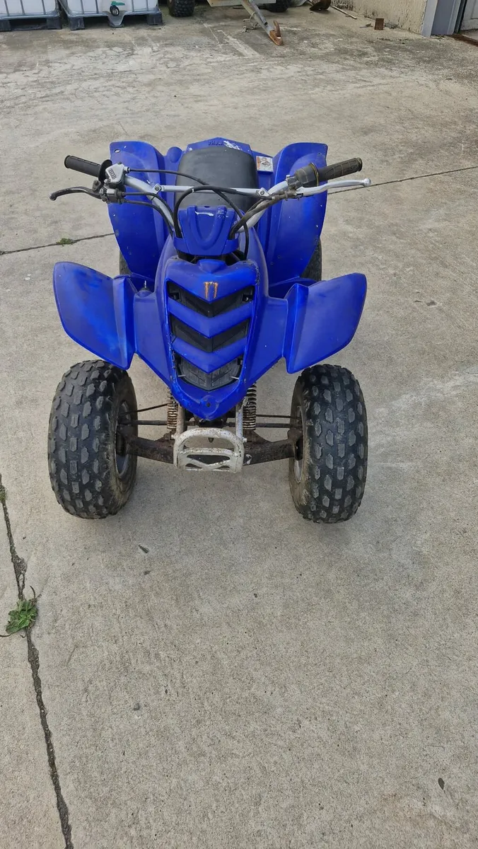 Yamaha raptor 80 kids quad - Image 2